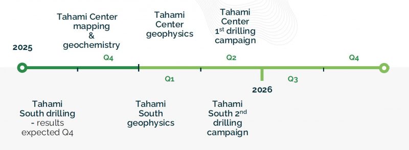 Quimbaya Gold - Project Timeline