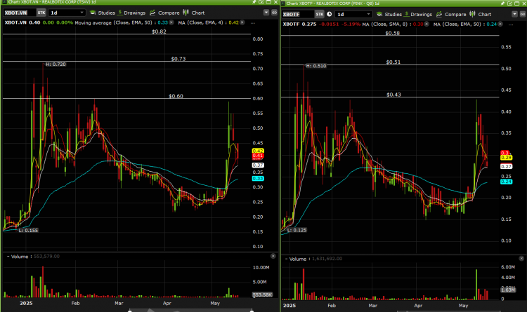 Realbotix - XBOT XBOTF - Technical Chart