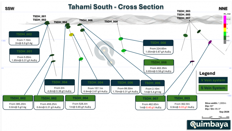 Tahami South Phase 1 cross section showing the S and V vein systems and selected mineralized intercepts. Reported lengths are downhole lengths; true widths are not known.